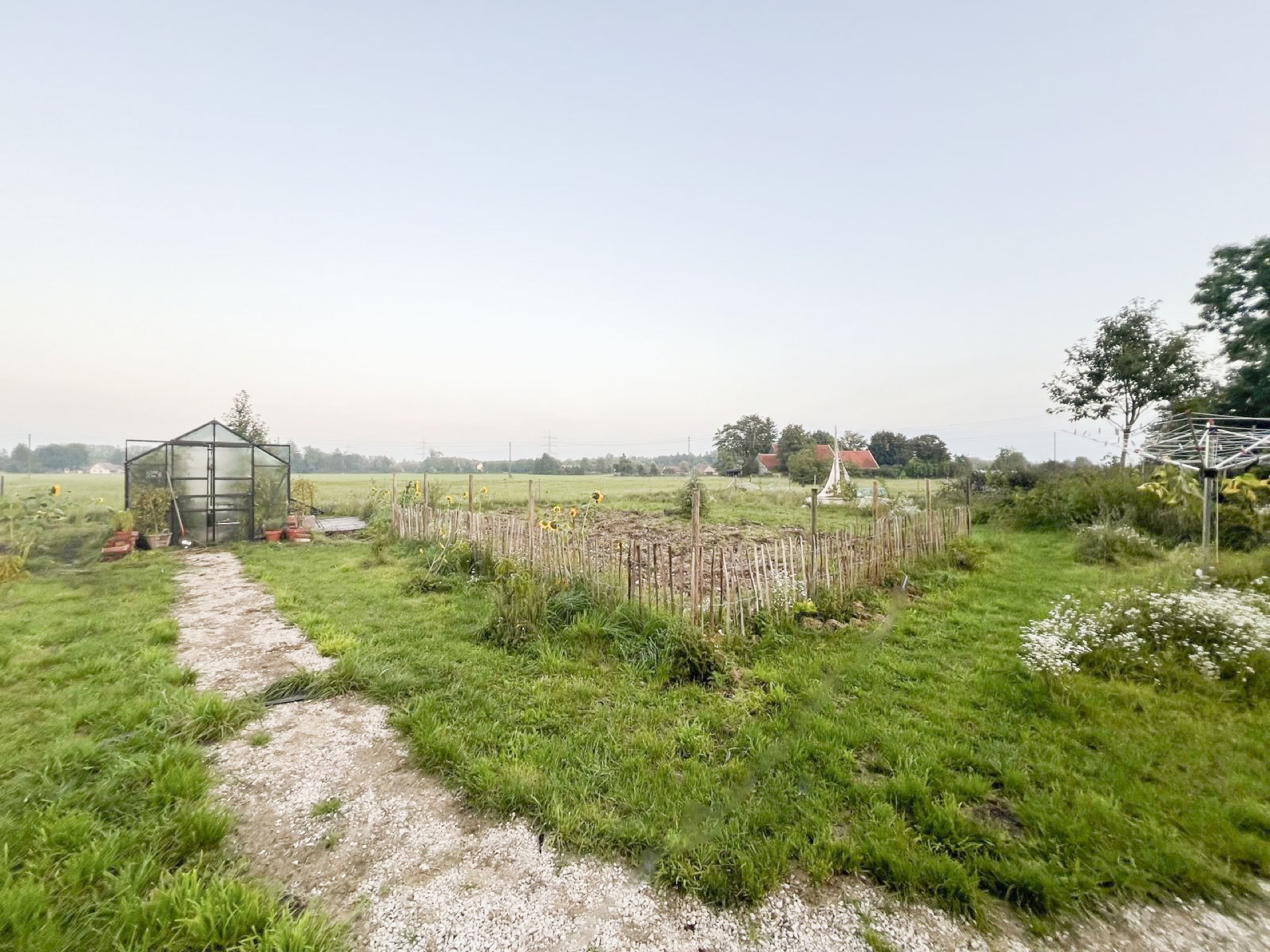 Weite Wiese mit Gewächshaus am Horizont in der Morgendämmerung